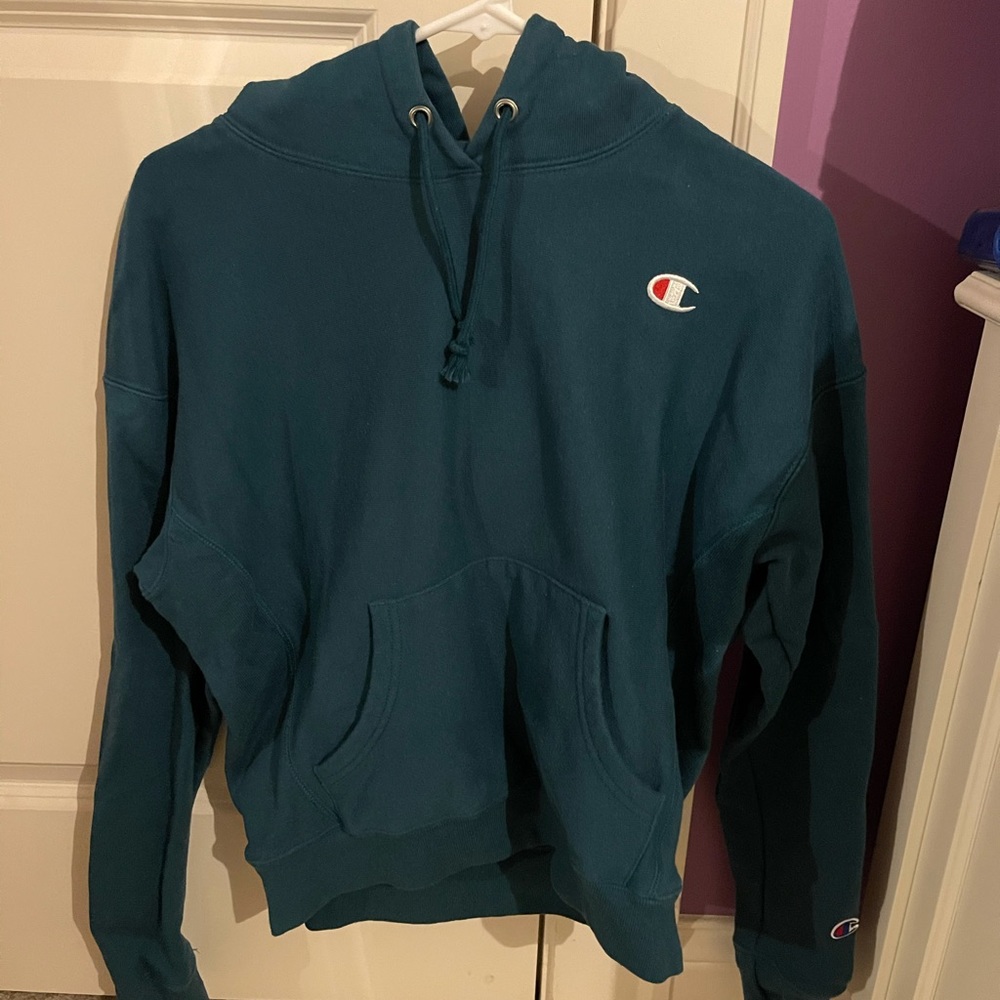 blue champion cropped hoodie